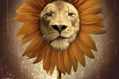 Lion-Sunflower