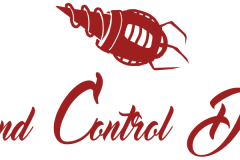 Mind-Control-Device
